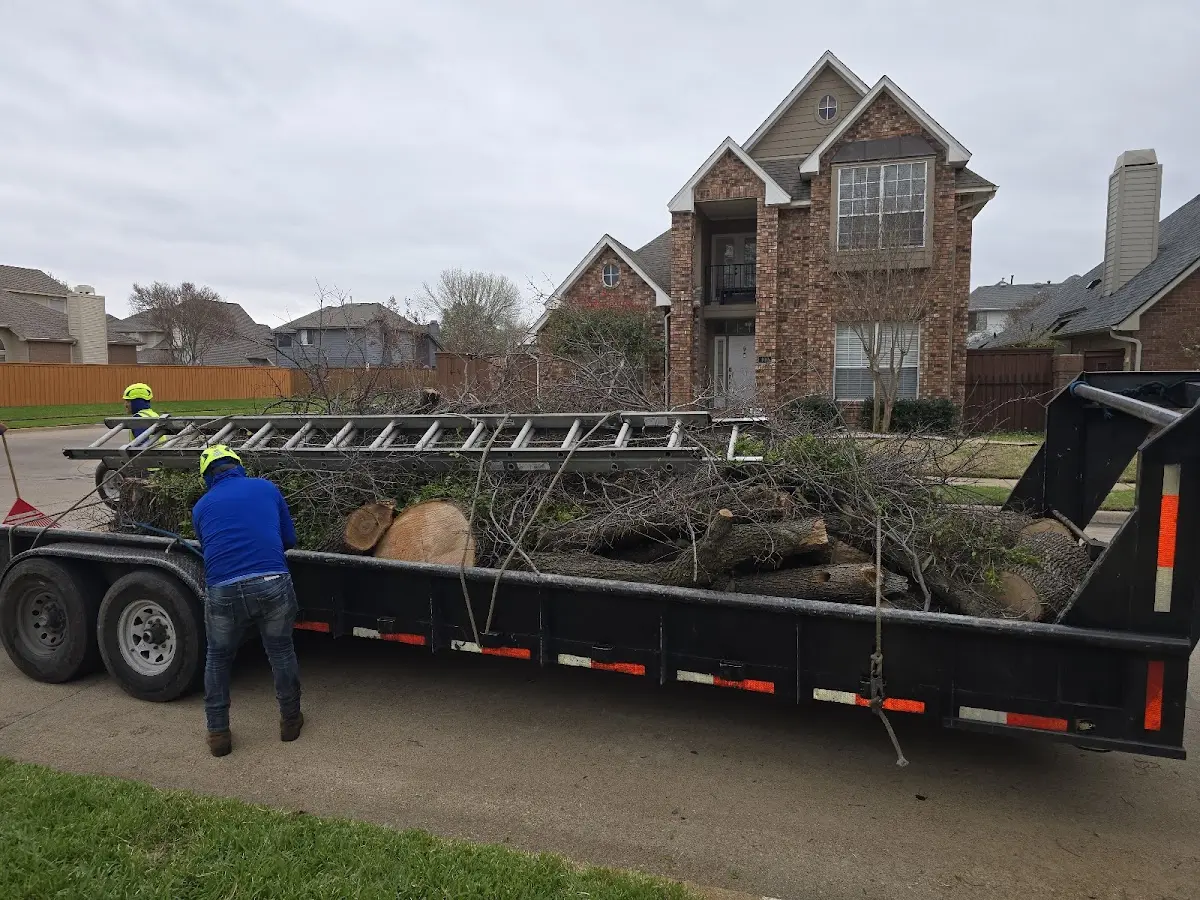 Expert Tree Fertilization with proper safety equipment in Belspring